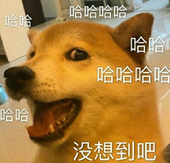 ROMPFlip艾薇棒测评