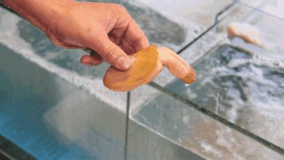 日本枫花恋名器倒模飞机杯测评