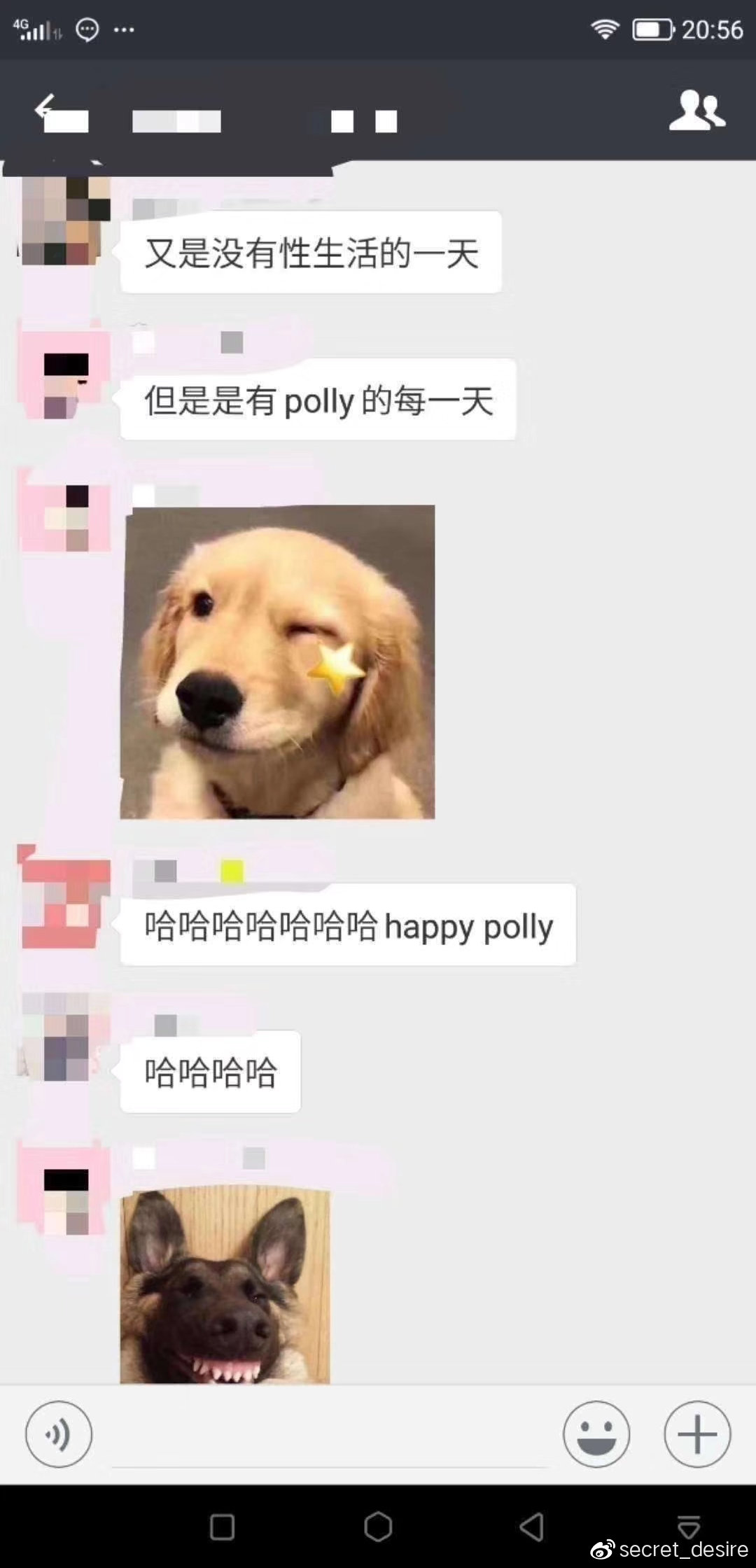 人手一根的polly到底是何方神圣?