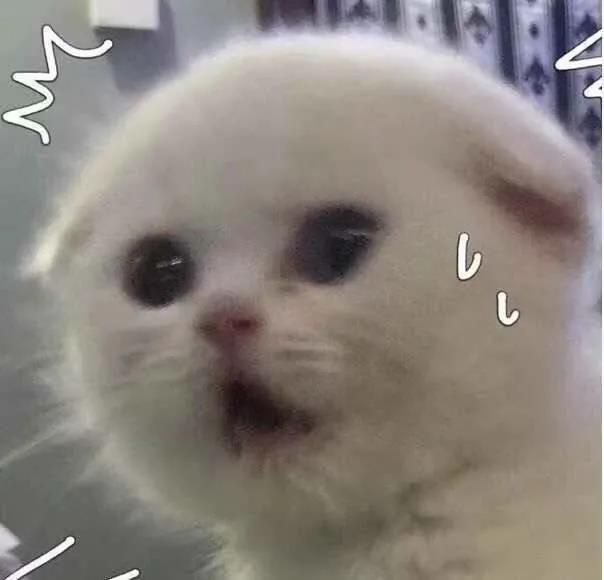 POLLY PLUS测评：一根棒棒两头耍，可以嗨到嗓子哑