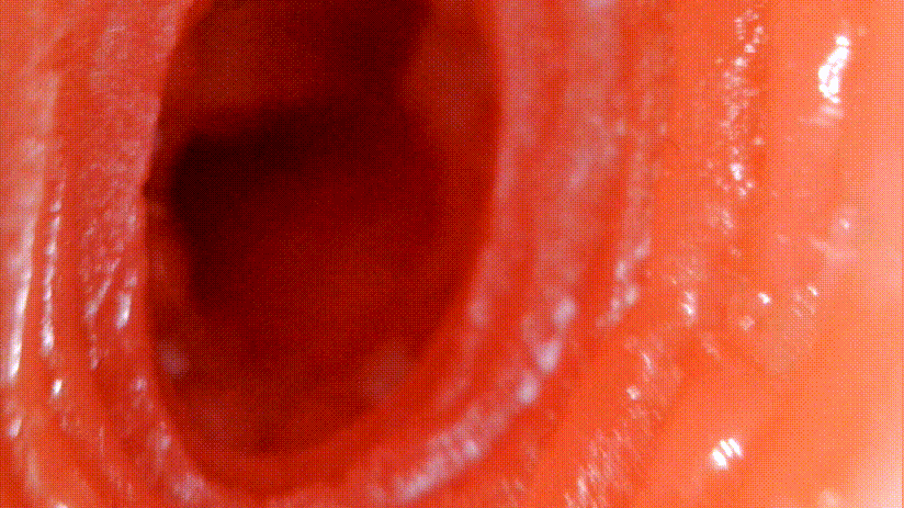 我拿下女神的秘诀就是它！–评测TMT“彼女姐姐”名器！真香！