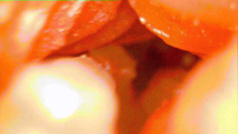 我拿下女神的秘诀就是它！–评测TMT“彼女姐姐”名器！真香！