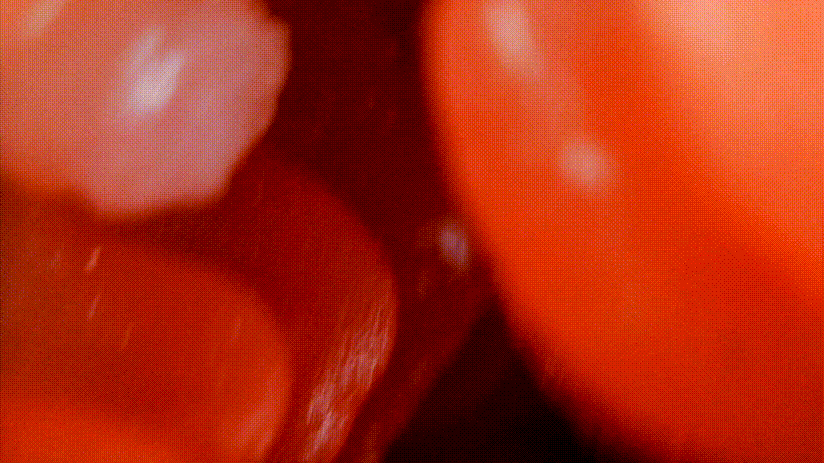 我拿下女神的秘诀就是它！–评测TMT“彼女姐姐”名器！真香！