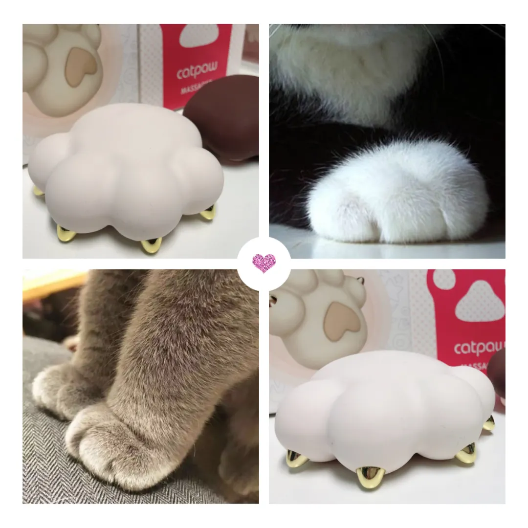 铲屎官别走!看你怎么被我一“掌”制服!