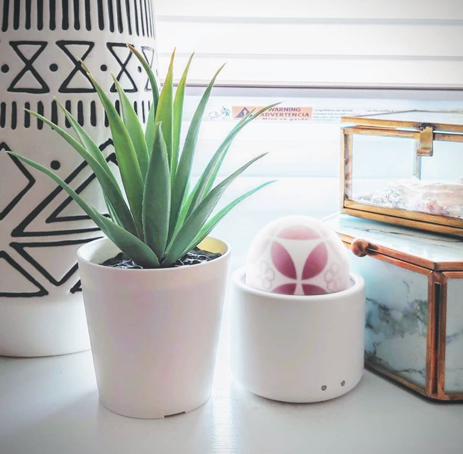 情趣玩具测评— iroha temari 花手球