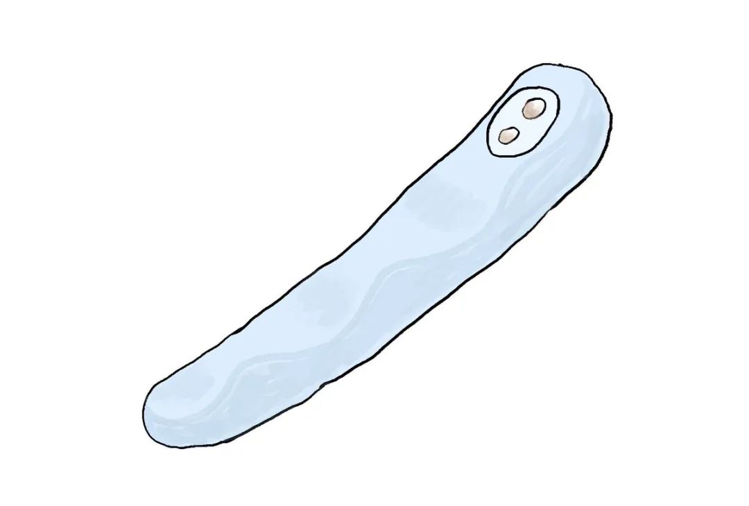 情趣玩具测评— iroha FIT 水中月