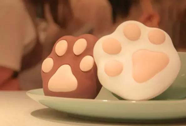 新手推荐：颜值爆棚小猫掌，还是个暖宝宝！