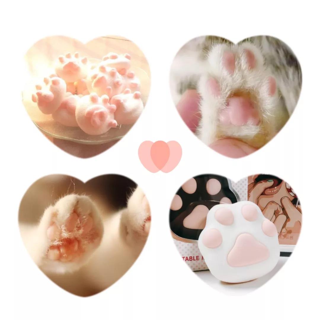 新手推荐：颜值爆棚小猫掌，还是个暖宝宝！