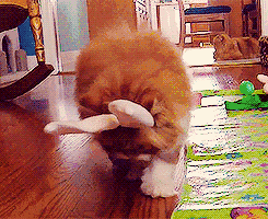 情趣界的“萌主”-兔兔跳蛋评测