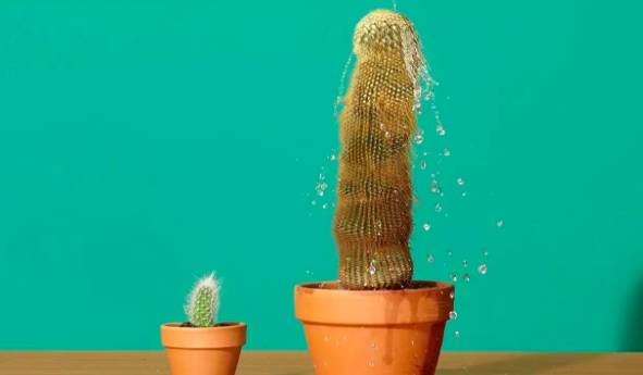 如果你知道擦隔离防晒,就应该备几款润滑液