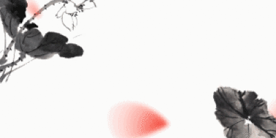 莲鲤-囊获红点IF多项大奖的情趣中国风