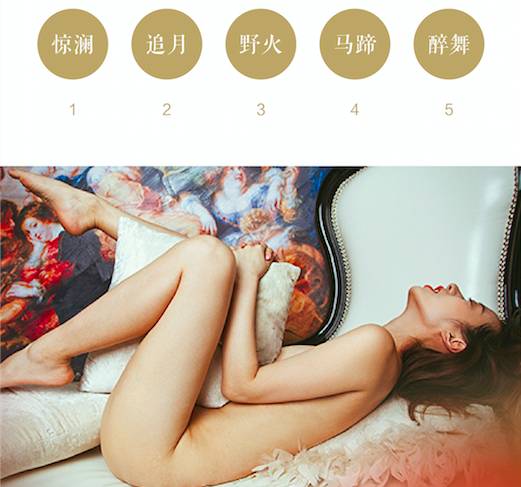 莲鲤-囊获红点IF多项大奖的情趣中国风