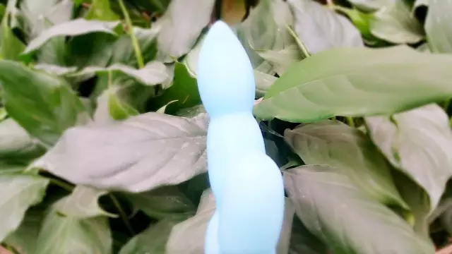 评测:我爱你的胡搅蛮缠,LC品爱蔚蓝豆荚