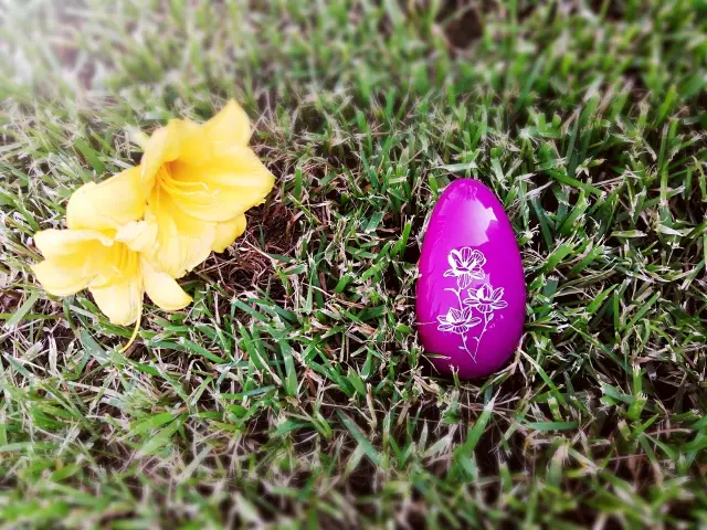 评测:高端玩具领导者——LELO NEA妮娅2