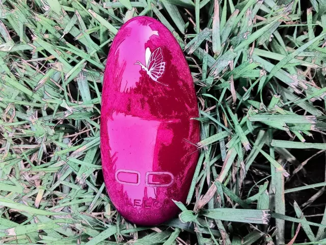 评测:高端玩具领导者——LELO NEA妮娅2