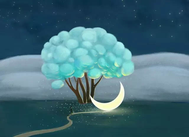 评测:一样的飞机杯,不一样的妙(shen)评