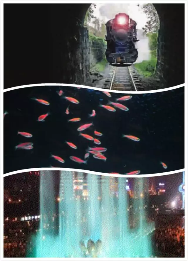 评测:一样的飞机杯,不一样的妙(shen)评