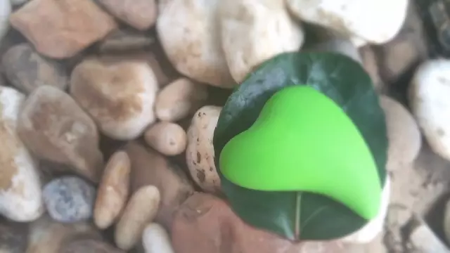 评测：leaf系列——新鲜(fresh)按摩器