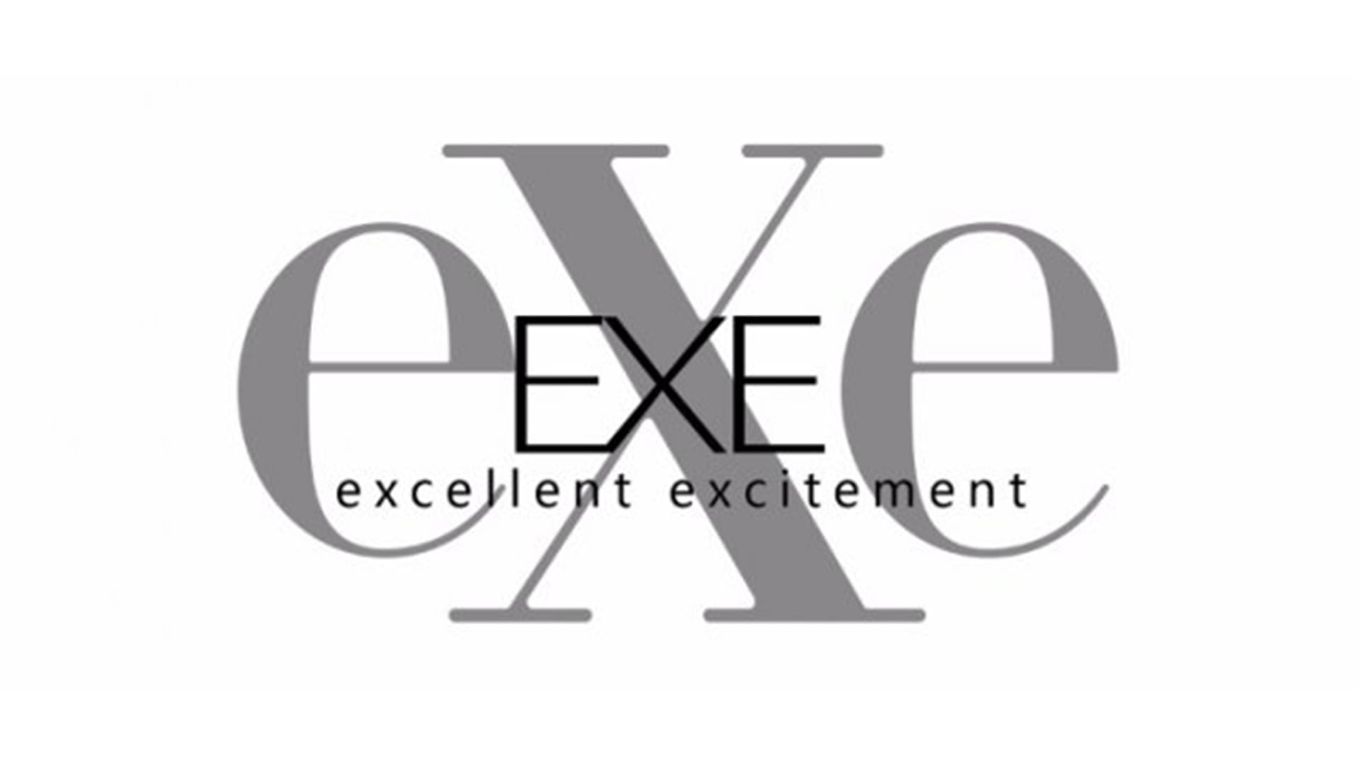 日本EXE飞机杯品牌百科